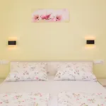Apartament And Alen Duće